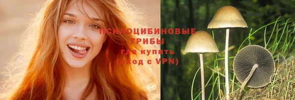 а пвп мука Козловка