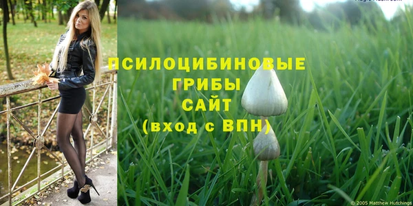 а пвп мука Козловка